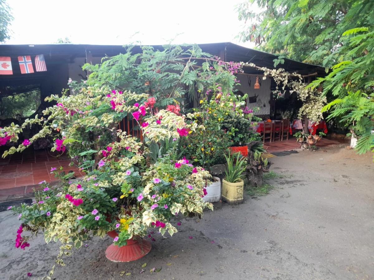 Alojamiento Casa De Campo Los Cactus Villavieja Extérieur photo