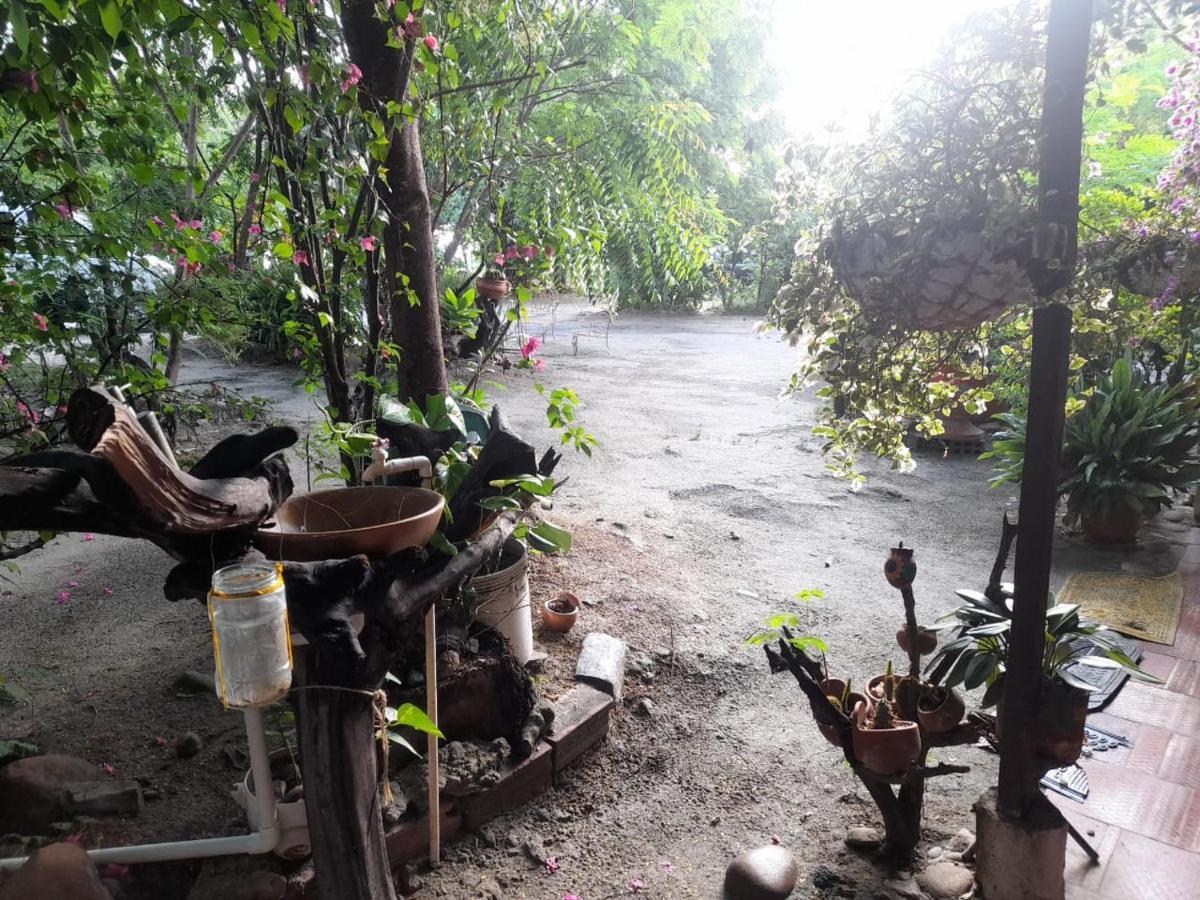 Alojamiento Casa De Campo Los Cactus Villavieja Extérieur photo