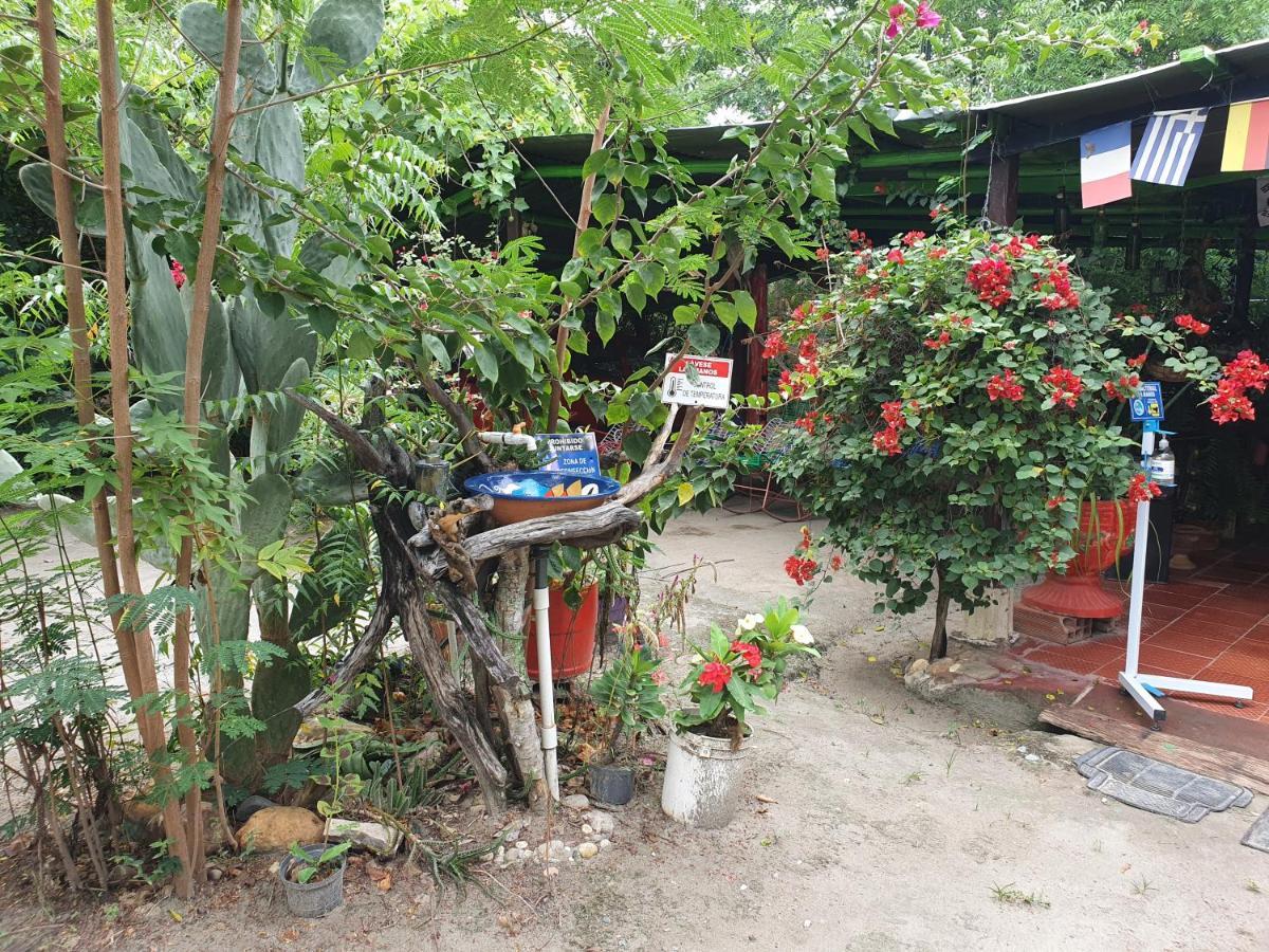 Alojamiento Casa De Campo Los Cactus Villavieja Extérieur photo