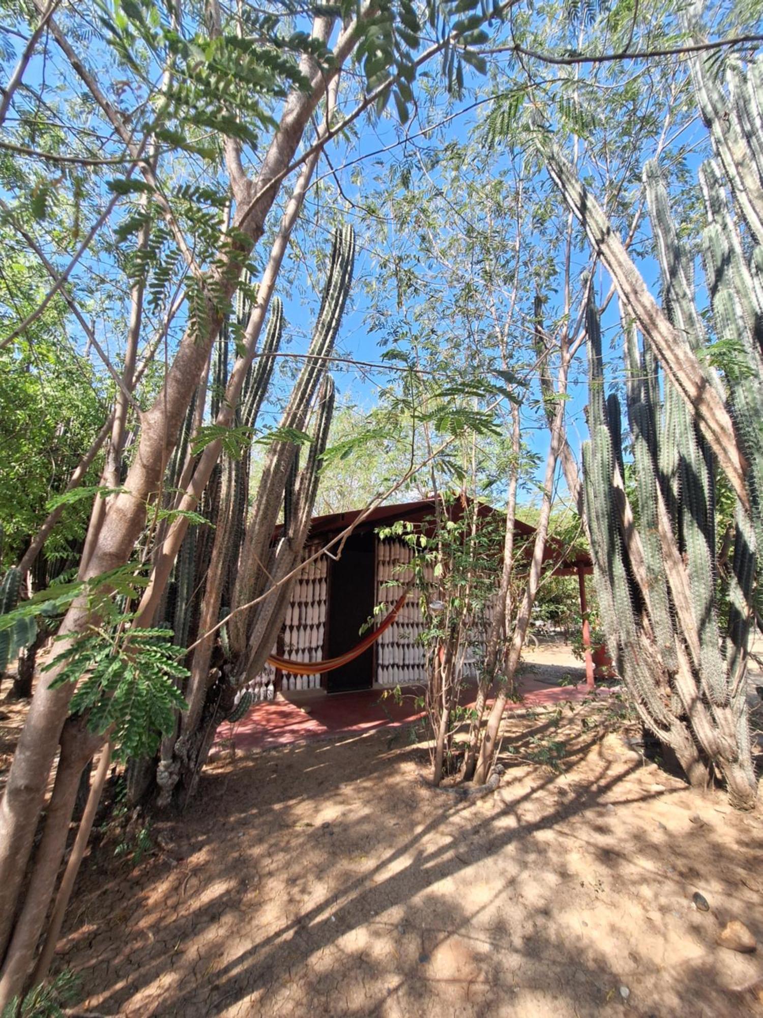 Alojamiento Casa De Campo Los Cactus Villavieja Extérieur photo