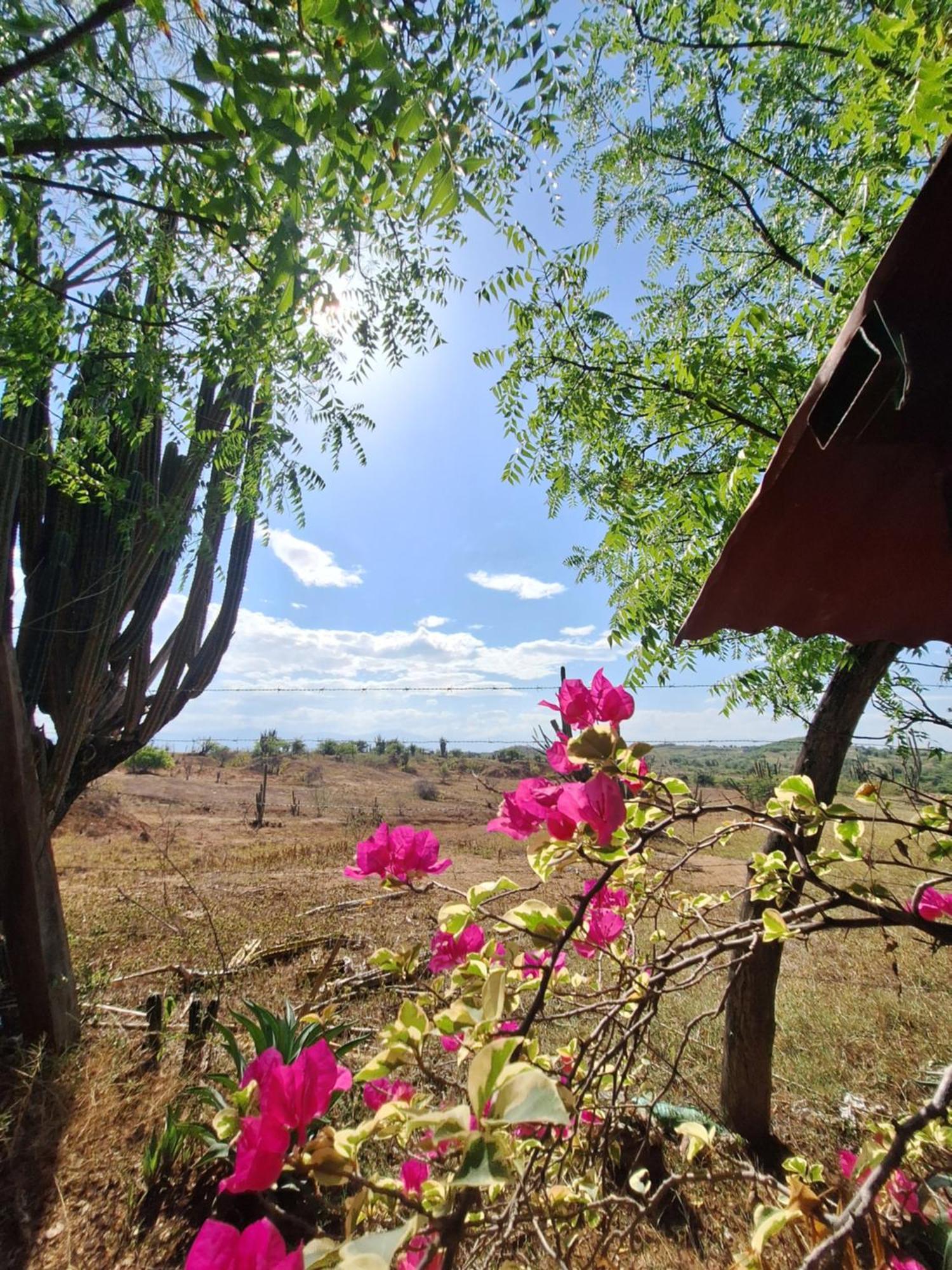 Alojamiento Casa De Campo Los Cactus Villavieja Extérieur photo