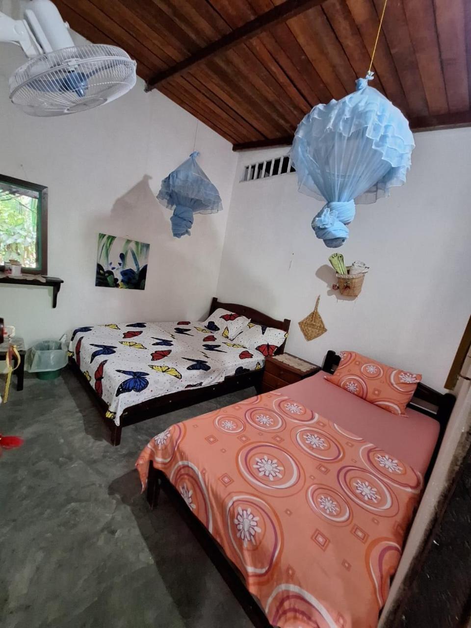 Alojamiento Casa De Campo Los Cactus Villavieja Extérieur photo