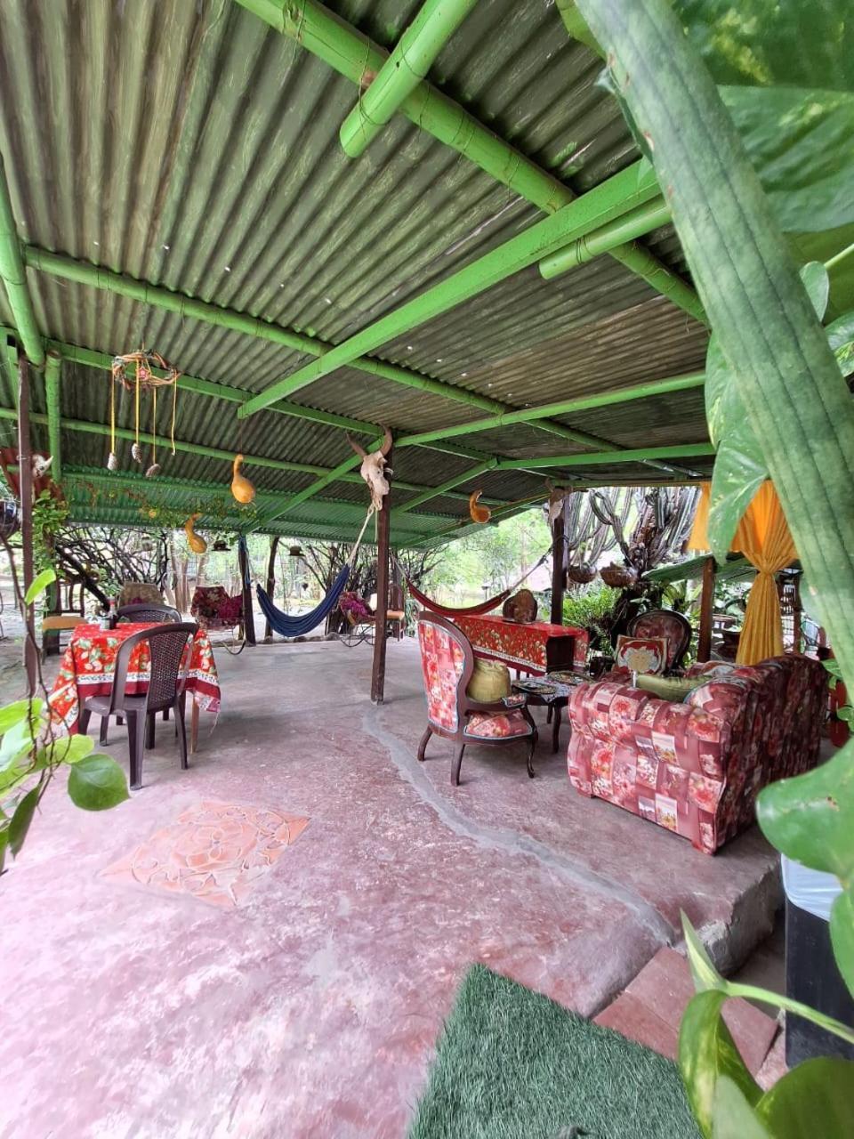 Alojamiento Casa De Campo Los Cactus Villavieja Extérieur photo