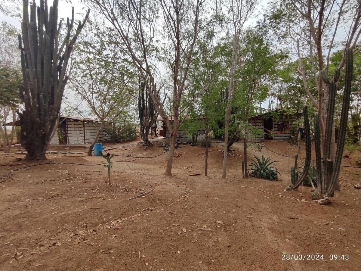 Alojamiento Casa De Campo Los Cactus Villavieja Extérieur photo